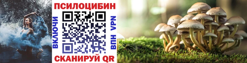 Галлюциногенные грибы мицелий  купить наркотики цена  Усолье-Сибирское 